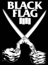 Load image into Gallery viewer, Black Flag - Everything Went Black T-Shirt
