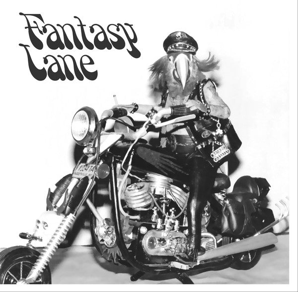 Fantasy Lane - S/T (Vinyl 12